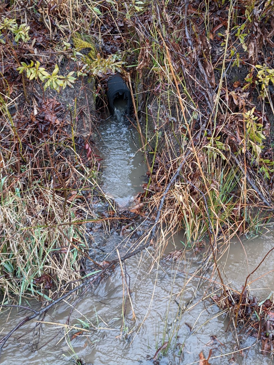 PXL_20210219_142746664.MP.jpg