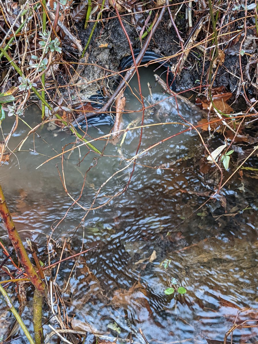 PXL_20210219_142901123.jpg