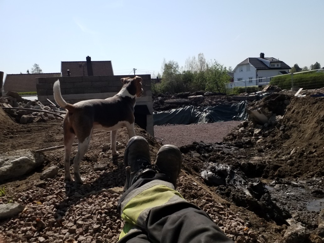 Resized_20190429_132322.jpeg