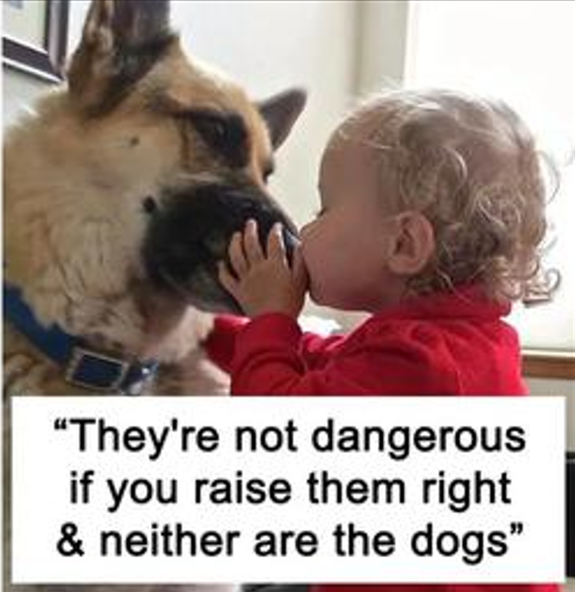 Skjermbilde 2024-07-26 121440.png