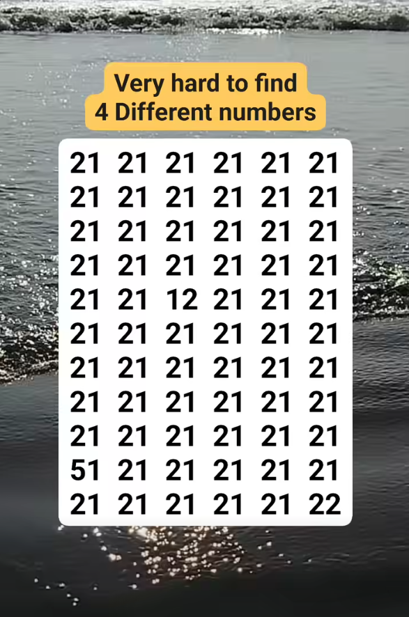 Skjermbilde 2025-08-11 154732.png