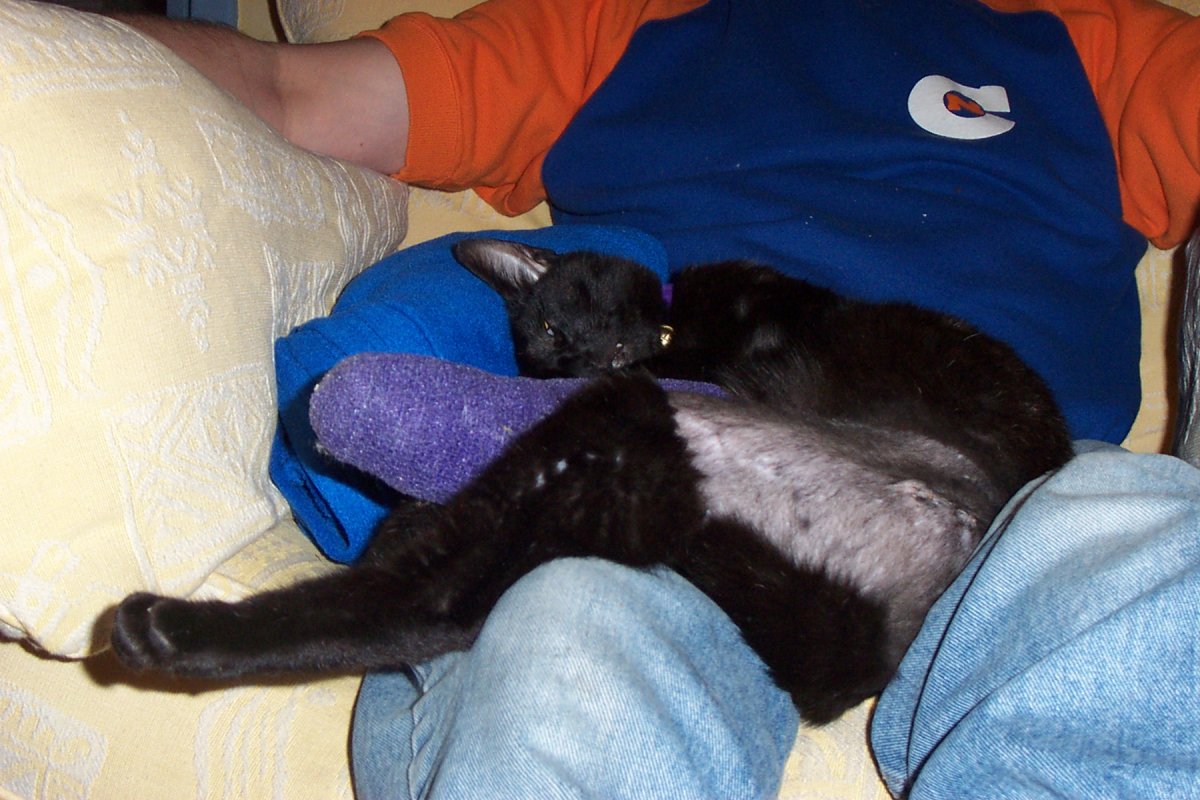 SPARTY LEGS 012.jpg