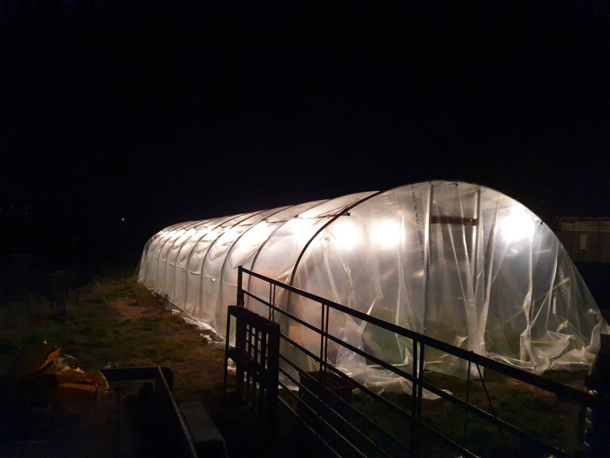 thumbnail_20210918_211450.jpg