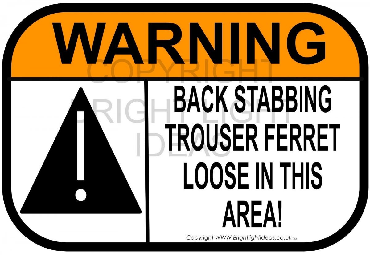 trouser ferret jpg.jpg