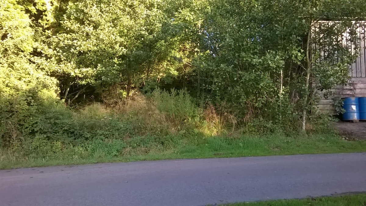 WP_20160826_18_47_29_Pro.jpg