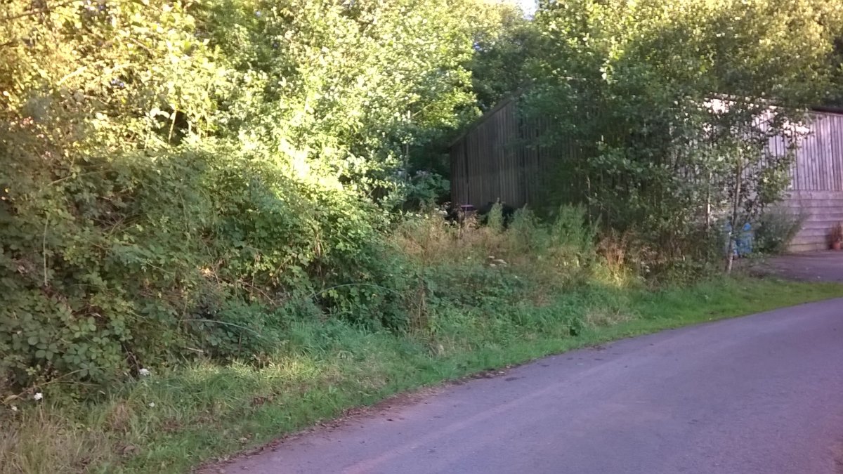 WP_20160826_18_47_51_Pro.jpg