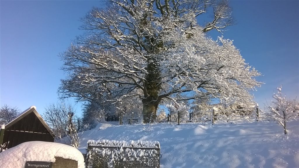 WP_20171211_10_15_45_Pro.jpg