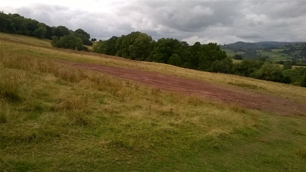 WP_20180915_12_55_39_Pro.jpg