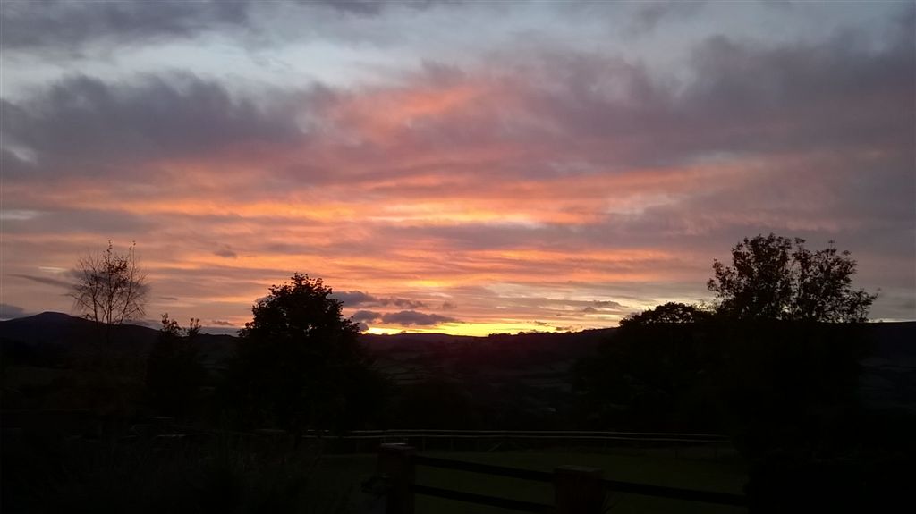 WP_20181007_18_42_31_Pro.jpg