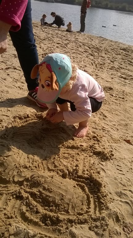 WP_20181010_11_40_09_Pro.jpg