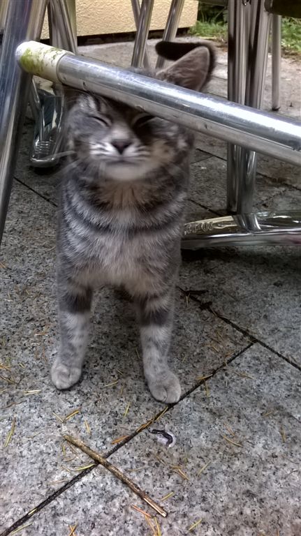 WP_20181011_09_09_14_Pro.jpg