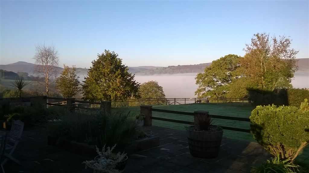 WP_20181019_08_59_13_Pro.jpg