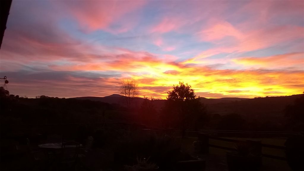 WP_20181023_18_19_35_Pro.jpg