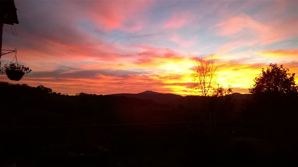 WP_20181023_18_21_40_Pro.jpg
