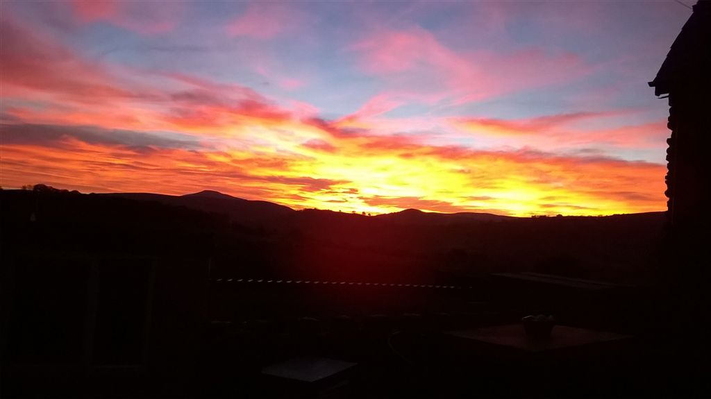 WP_20181023_18_22_58_Pro.jpg