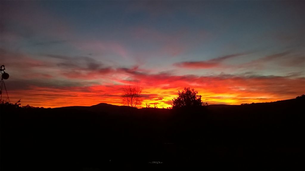WP_20181023_18_28_03_Pro.jpg