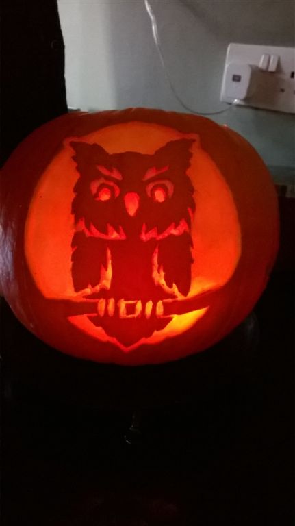 WP_20181030_15_57_55_Pro.jpg