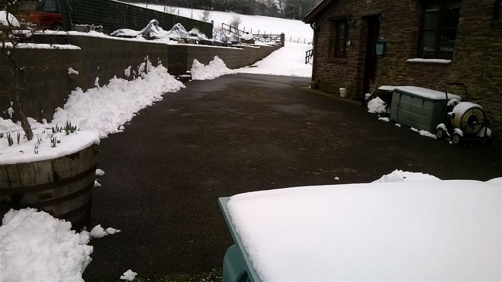 WP_20190201_14_27_43_Pro.jpg