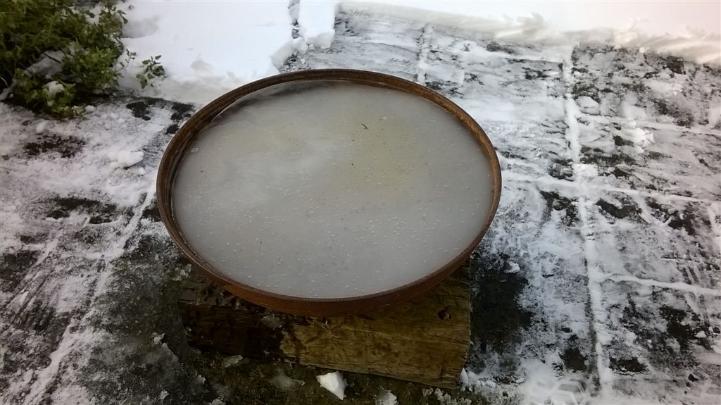 WP_20190203_13_53_39_Pro.jpg