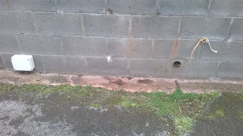 WP_20190301_08_55_13_Pro.jpg
