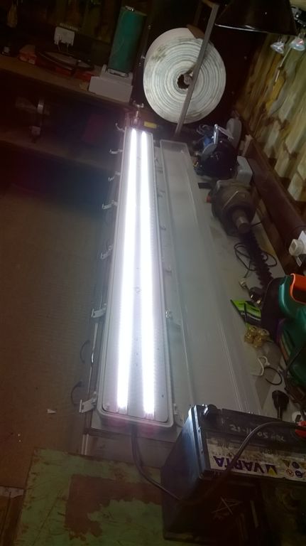 WP_20190309_19_05_52_Pro.jpg