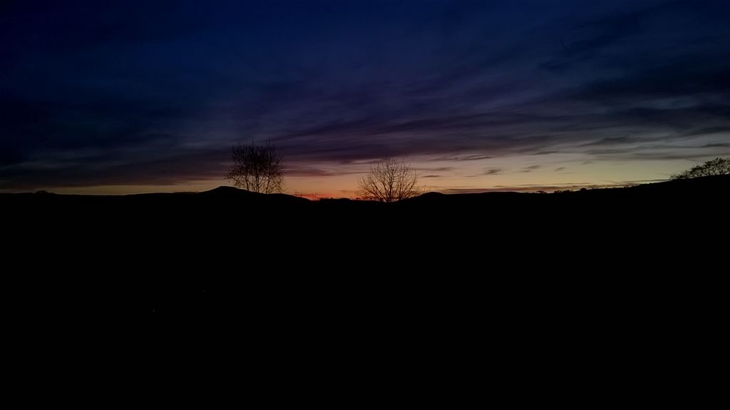 WP_20190320_18_52_07_Pro.jpg