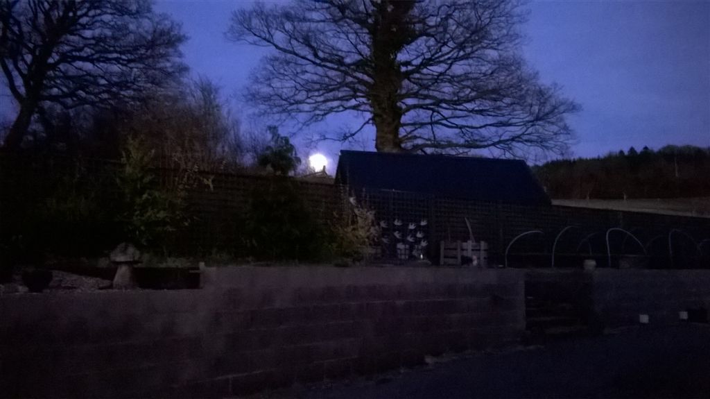 WP_20190320_18_52_34_Pro.jpg