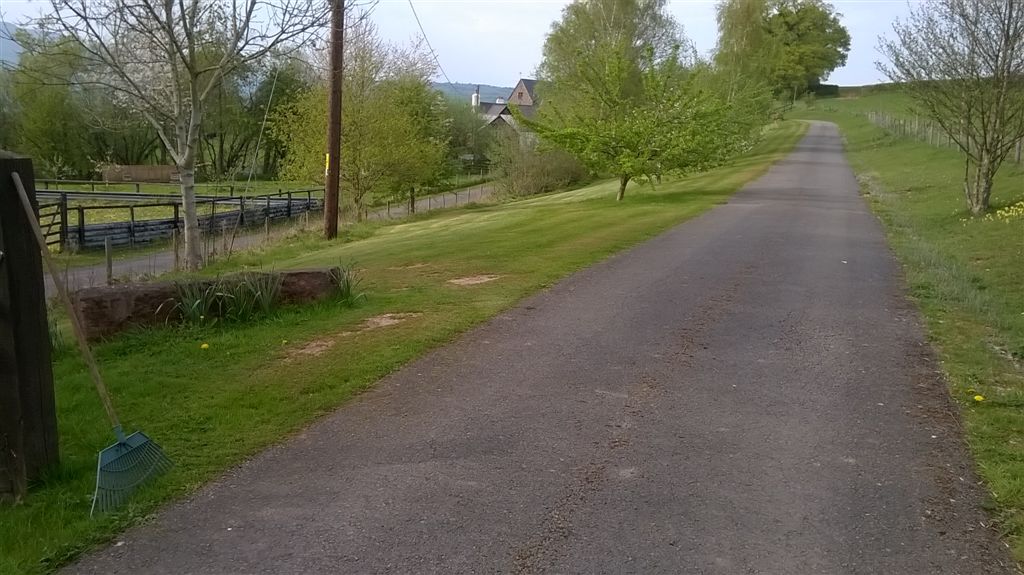 WP_20190422_16_54_18_Pro.jpg