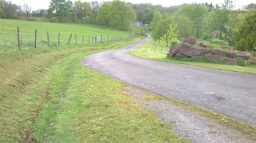 WP_20190428_15_33_31_Pro.jpg