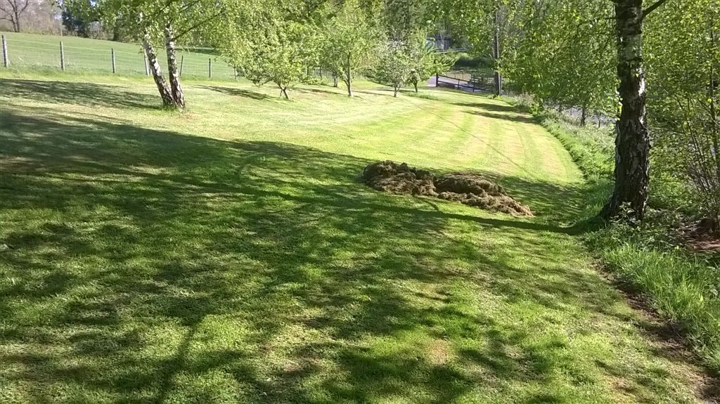 WP_20190504_16_50_19_Pro.jpg