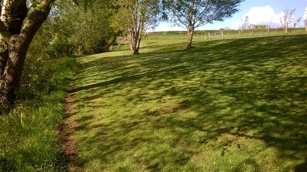 WP_20190504_16_55_16_Pro.jpg