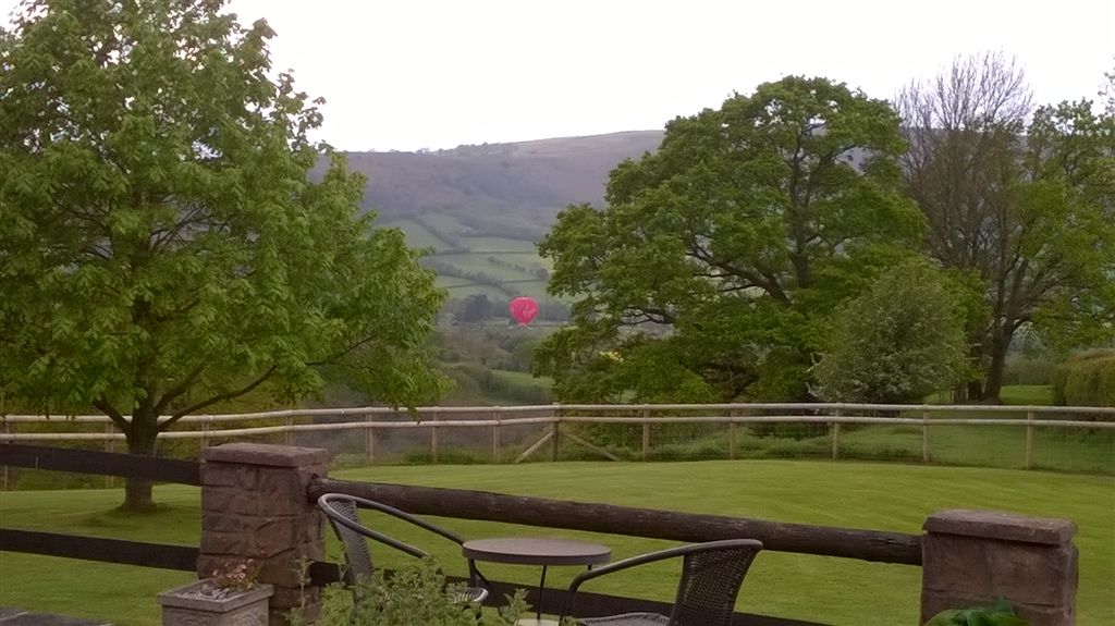 WP_20190506_18_42_27_Pro.jpg