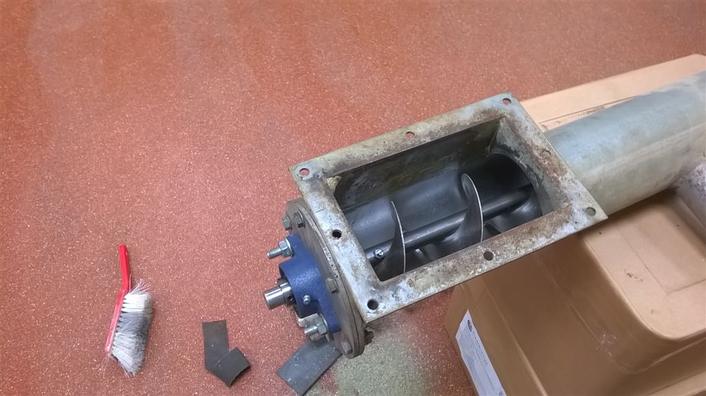 WP_20190508_15_00_31_Pro.jpg