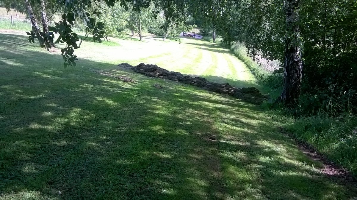 WP_20190628_17_41_28_Pro.jpg