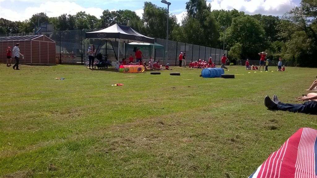 WP_20190712_11_35_44_Pro.jpg