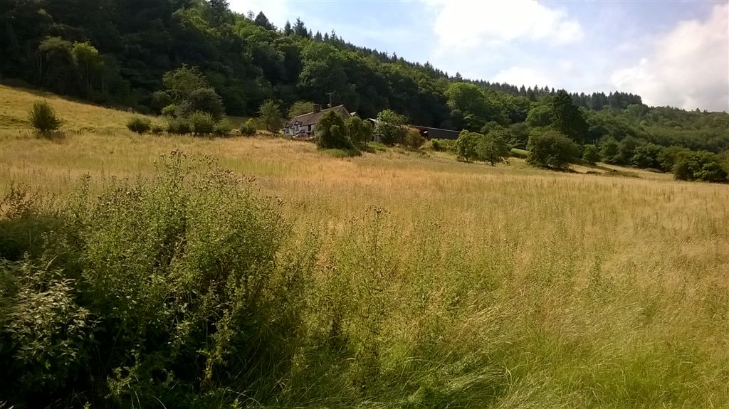 WP_20190802_13_53_14_Pro.jpg