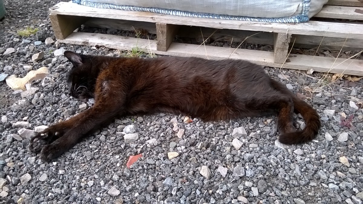 WP_20190907_15_38_10_Pro.jpg