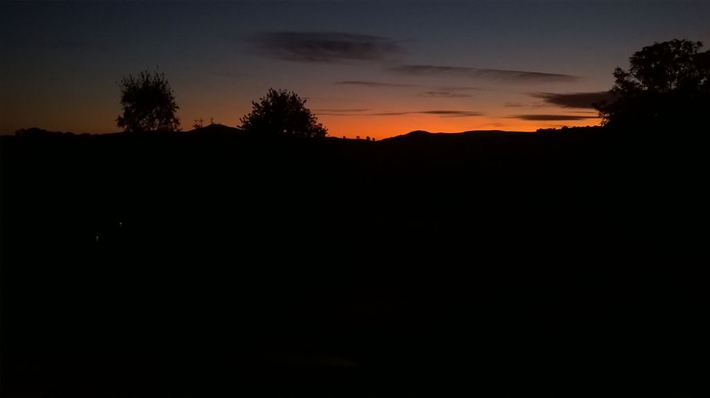 WP_20190918_19_53_06_Pro.jpg