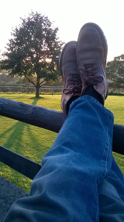 WP_20190919_18_51_26_Pro.jpg