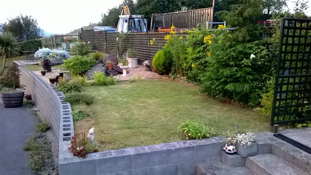 WP_20190921_19_12_23_Pro.jpg