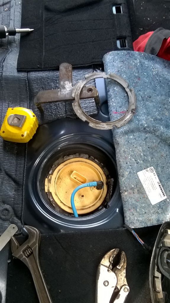 WP_20191003_13_05_37_Pro.jpg
