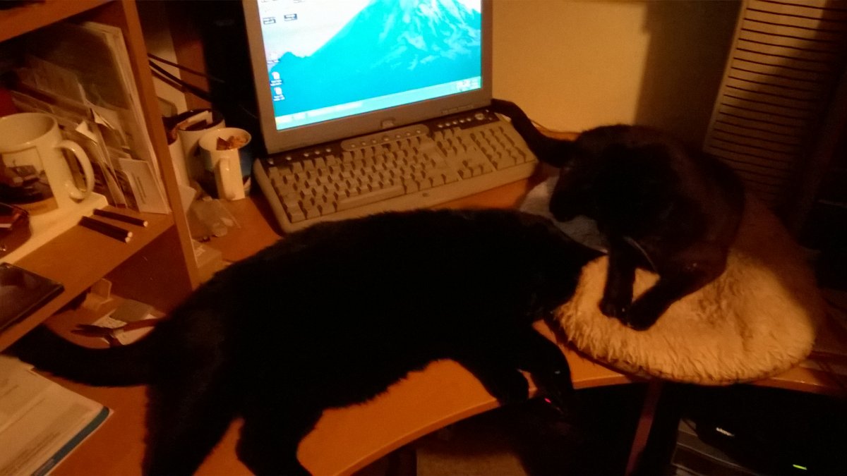 WP_20191022_22_40_00_Pro.jpg