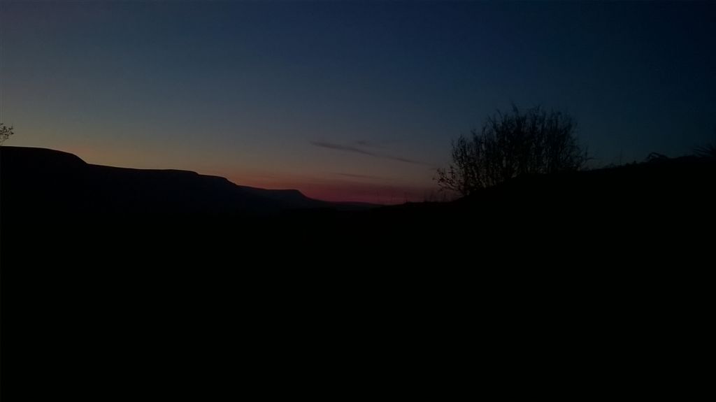 WP_20200414_20_38_46_Pro.jpg