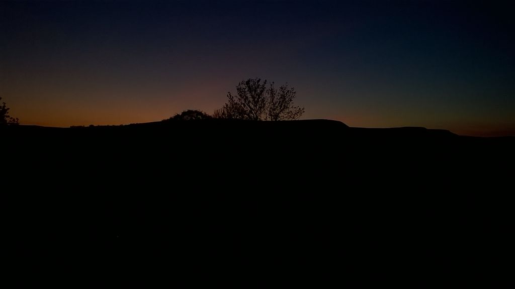 WP_20200414_20_39_04_Pro.jpg