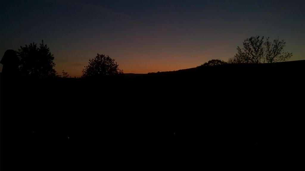 WP_20200414_20_39_13_Pro.jpg