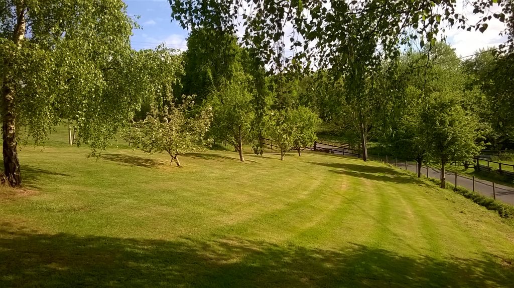 WP_20200507_17_08_52_Pro.jpg