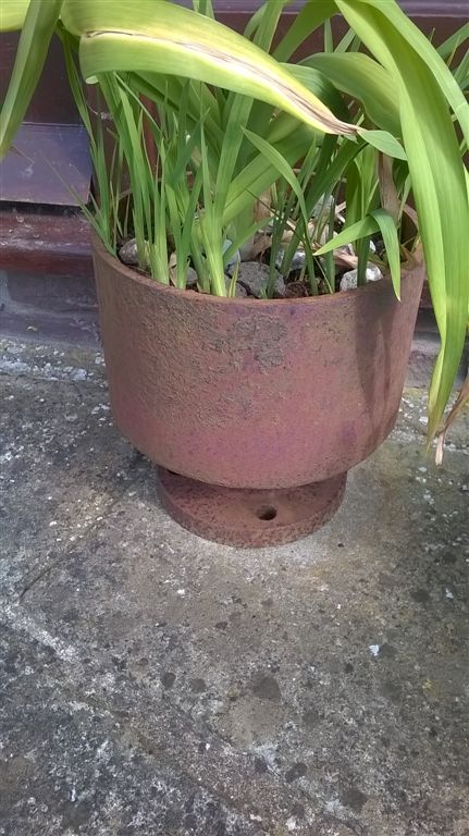 WP_20200513_16_38_45_Pro.jpg