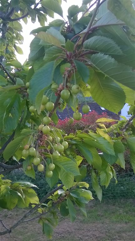 WP_20200520_20_41_18_Pro.jpg