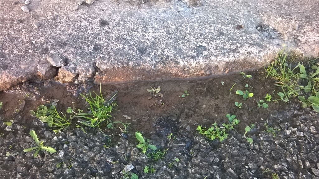 WP_20200625_20_26_03_Pro.jpg