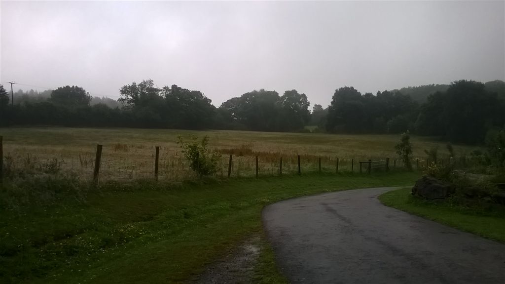 WP_20200709_18_01_48_Pro.jpg
